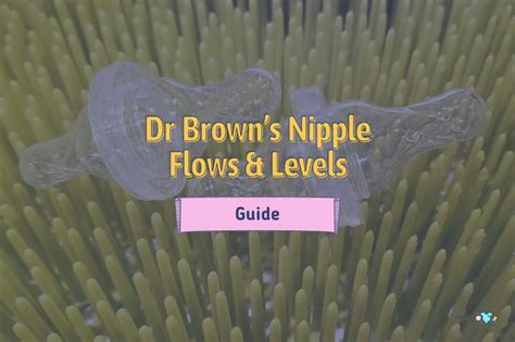 Dr Brown Nipple Flows & 6 Levels [Comprehensive。